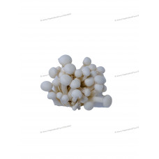 MX- White Shimeji Mushroom 白玉菇 150g
