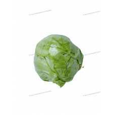Cabbage Beijing 北京包菜 650g+-