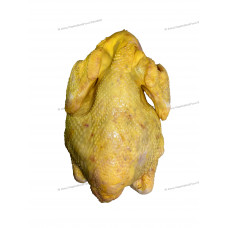 Chicken (Yellow) 黄皮鸡 1.8kg+-